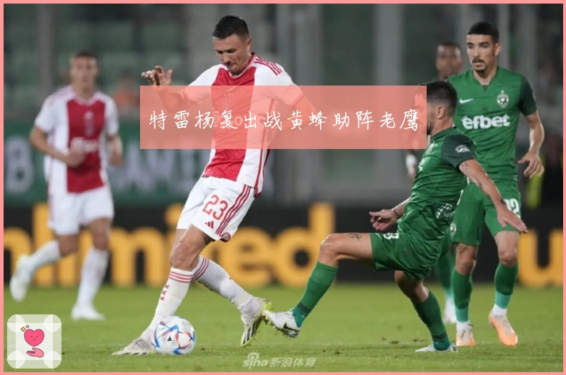 特雷杨复出战黄蜂助阵老鹰