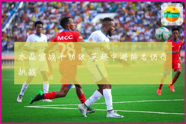 水晶宫战平劲敌 英超中游排名仍存挑战