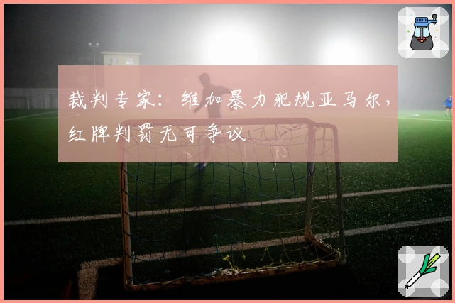 裁判专家:维加暴力犯规亚马尔,红牌判罚无可争议